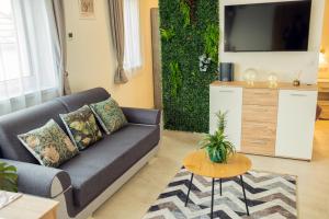 a living room with a couch and a tv at ARKSIS Apartman in Sárvár