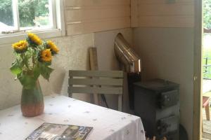 a vase of yellow flowers sitting on a table at 1Bed Cabin Sleeps 2- Parking Fireplace Garden Pets in Lizard