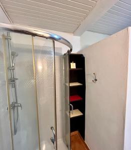 a shower in a bathroom with a glass shower stall at Charmant T3 en RDJ chez Ketty à Ducos in Ducos +22 photos