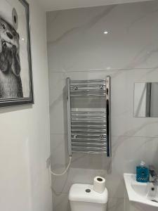a white bathroom with a toilet and a sink at The Cosy one in Sutton
