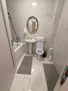 a bathroom with a toilet and a sink and a mirror at JAD Militari Residence in Roşu +2 photos