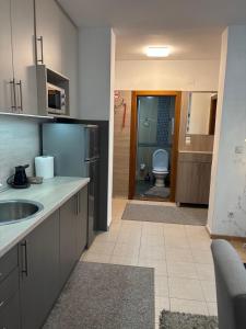 a kitchen with a sink and a bathroom with a toilet at Apartman Nada de lux in Vrnjačka Banja