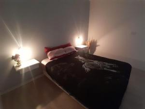 een slaapkamer met een bed met twee verlichting bij Cabaña LuMa in San Rafael