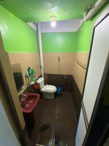 a green and white bathroom with a toilet and a sink at Anwar Kluang Homestay in Kluang