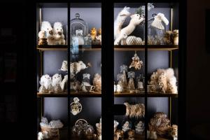 a display case filled with lots of stuffed animals at Hôtel-SPA Le Moulin De La Wantzenau - Strasbourg Nord in La Wantzenau