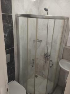 een badkamer met een douche, toilet en wastafel bij Şişli Suites - Room46 in Istanbul