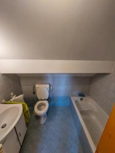 a bathroom with a toilet and a sink and a tub at Apartment-Koželj in Dobrna