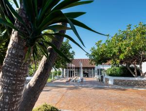 a palm tree in front of a building at Sol Falco Menorca in Son Xoriguer