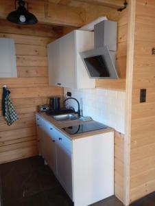 a kitchen with a sink and a microwave at Apartament Szumi las in Białowieża