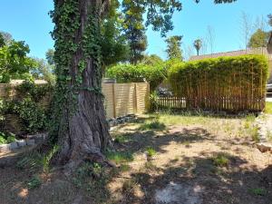 a tree in a yard next to a fence at Maison avec jacuzzi et jardin privé, proche plage in Le Pradet