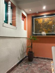 a hallway with a painting and a potted plant at Downtown Santana Hotel in Rio de Janeiro +54 photos