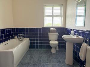 a bathroom with a tub and a toilet and a sink at Wild Atlantic Haven in Ballyferriter +29 photos