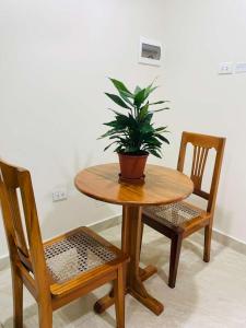a table with a potted plant and two chairs at Studio 69 Aparthotel in Iquitos