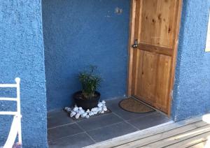 een plant in een pot naast een deur bij Espacio lagunillas Alojamiento in Lagunillas