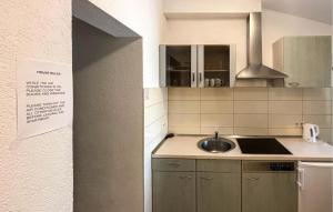 Η κουζίνα ή μικρή κουζίνα στο Awesome Apartment In Duce With House Sea View