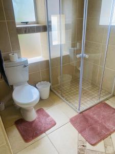 a bathroom with a toilet and a shower at PJ Guest House in Gqeberha