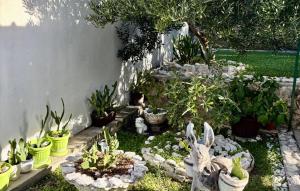 a garden with potted plants and a rabbit in it at Awesome Apartment In Duce With House Sea View in Duće +4 photos