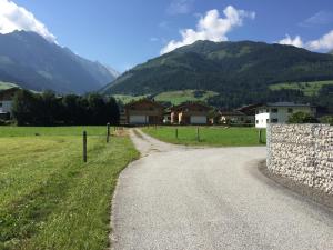 polna droga na polu z górami w tle w obiekcie Chalet Noriker w mieście Niedernsill
