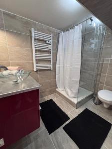 a bathroom with a shower and a sink and a toilet at appartement en sous sol in Wittelsheim +14 photos