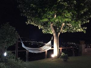 Fotografie z fotogalerie ubytování villa camelie v destinaci Petrognano