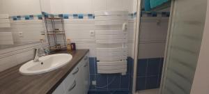 a bathroom with a sink and a shower at Petite maison en pierre in Vittel