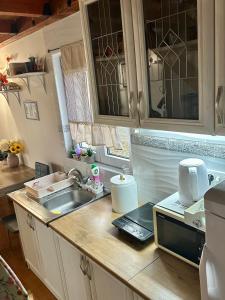 a kitchen with a sink and a counter top at Dadula na Dunavu in Kovin +14 photos