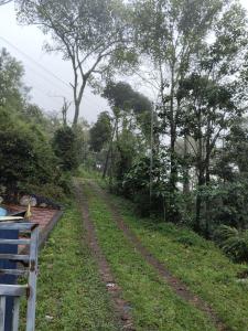 Zahrada ubytování Valley Homestay