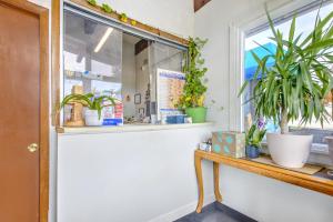 a window with potted plants on a table at OYO Palm Leaf Motel in Ashland