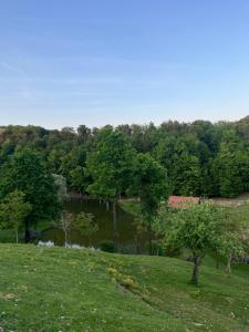 Příroda nedaleko prázdninového domu