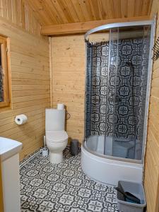 Ένα μπάνιο στο Domki Letniskowe Pięciu Pomostów