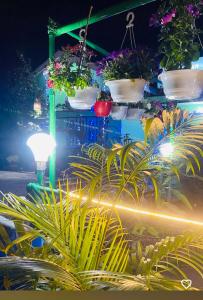 Zahrada ubytování TG Homestay Kaziranga