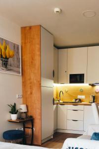 ウストロンにあるApartament Ustroń 20の冷蔵庫とシンク付きの小さなキッチン