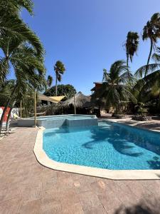 Bazén v ubytování Woodstock Palmresort Curacao - Schildpadkamer nebo v jeho okolí