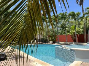 Bazén v ubytování Woodstock Palmresort Curacao - Schildpadkamer nebo v jeho okolí + 8 fotografií