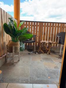 a patio with a table and chairs and a potted plant at Lovely 2-bedroom Fully-Furnished apartment in Nanyuki
