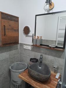 ein Badezimmer mit einem Waschbecken und einem Spiegel auf einer Ablage in der Unterkunft Gnaden -und Ferienhof Saale Wittgenstein in Schorstedt + 28 Fotos