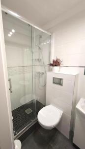 Et badeværelse på Apartament Staromiejski + 9 billeder