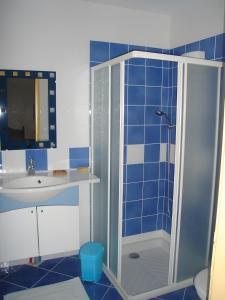 a bathroom with a shower and a sink at Gîte La Combe Verte in Ratières