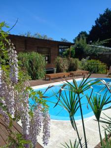 シエラ・デ・ロス・パードレスにあるCabaña en la Colinaの花の咲く庭園