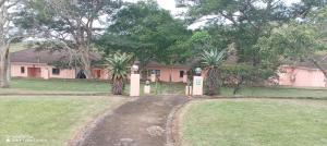 a house with palm trees and a dirt road at Royal Thokazi Lodge in Nongoma