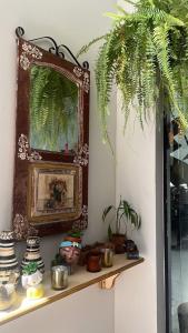 ベレンにあるCasa tranquila e espaçosaの植物棚