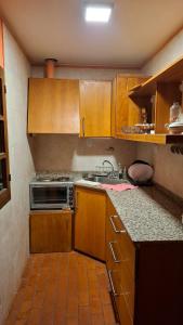 a small kitchen with wooden cabinets and a sink at Department RJ in San Rafael