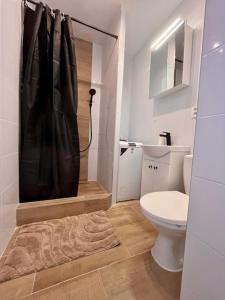a bathroom with a shower with a toilet and a sink at Apartmán Dona in Veľký Meder