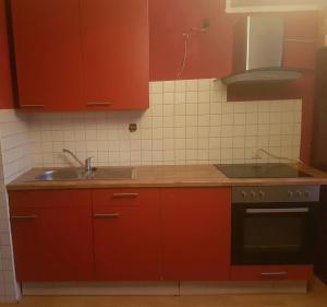 a kitchen with red cabinets and a sink at Ferienwohnung Petersbrunnen in Zaschwitz