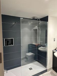 une salle de bain avec une douche avec des toilettes et un lavabo dans l'établissement Milltown luxury - concierge, à Feevaghmore