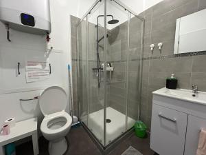 a bathroom with a shower and a toilet and a sink at Studio Lapalisse chez Pierre et Delphine in Lapalisse