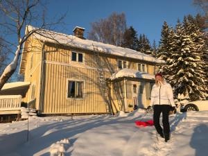 Lakeside House, Storstugan v zimě