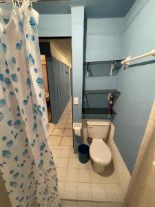 une salle de bain avec toilettes et rideau de douche dans l'établissement Casa cerca de Plaza de Toros de Apizaco y del Centro Deportivo de Alto Rendimiento, à San Dionisio Yauhquemehcan