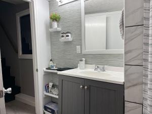 ein Badezimmer mit Waschbecken und Spiegel in der Unterkunft Galloway Cottage- Bikes & Firepit in Springfield + 32 Fotos