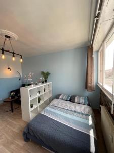 a bedroom with a bed and a white cabinet at HYPER CENTRE - 2 STUDIOS - 2min PLACE KLEBER in Strasbourg